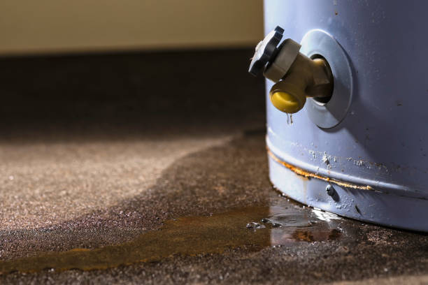 Best Professional water damage repair  in Byrdstown, TN