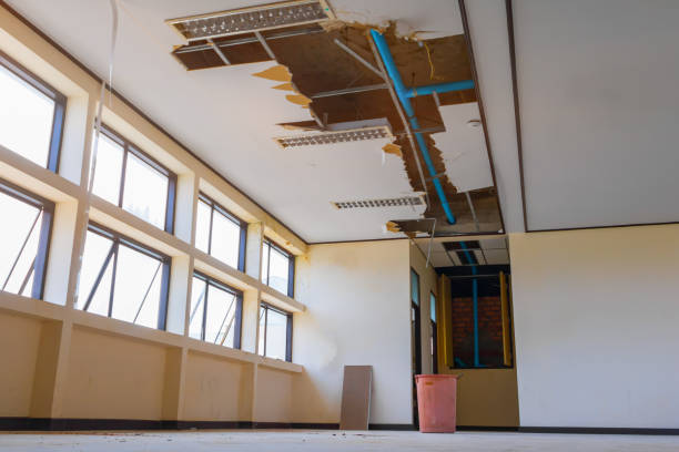 Best Water damage contractors near me  in Byrdstown, TN