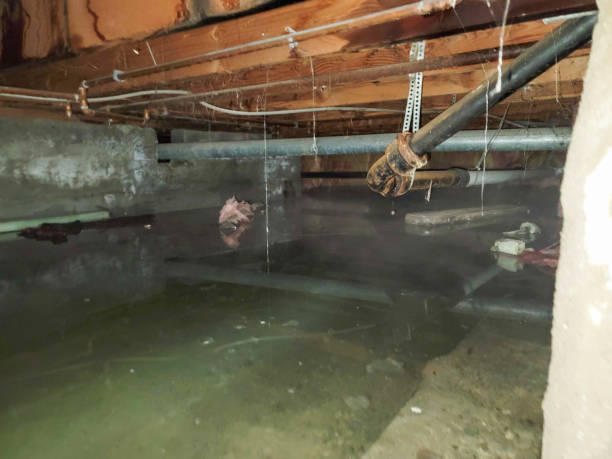 Best Ceiling water damage repair  in Byrdstown, TN