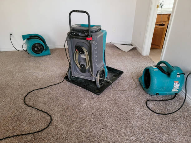 Best Water damage restoration company  in Byrdstown, TN