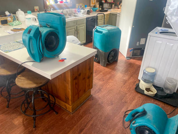 Best Basement water damage restoration  in Byrdstown, TN