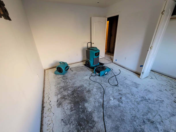 Best Basement water damage restoration  in Byrdstown, TN