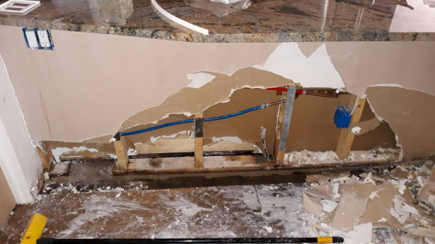 Best Water damage cleanup near me  in Byrdstown, TN
