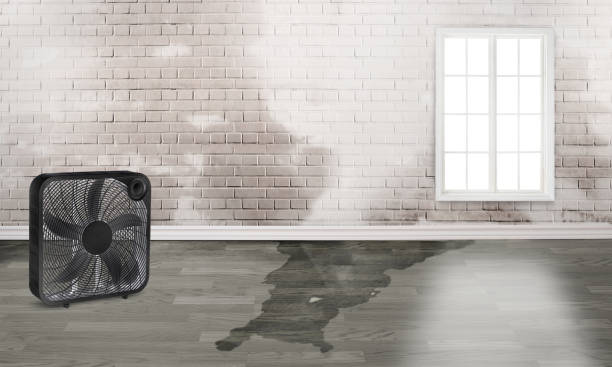 Best Fire Damage Restoration  in Byrdstown, TN