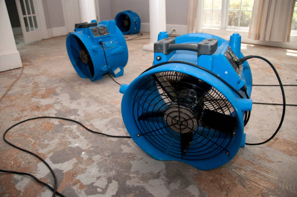 Best Fire Damage Restoration  in Byrdstown, TN