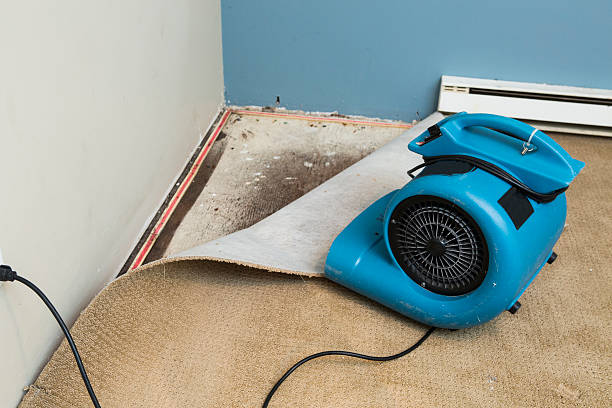Best Flood restoration services  in Byrdstown, TN